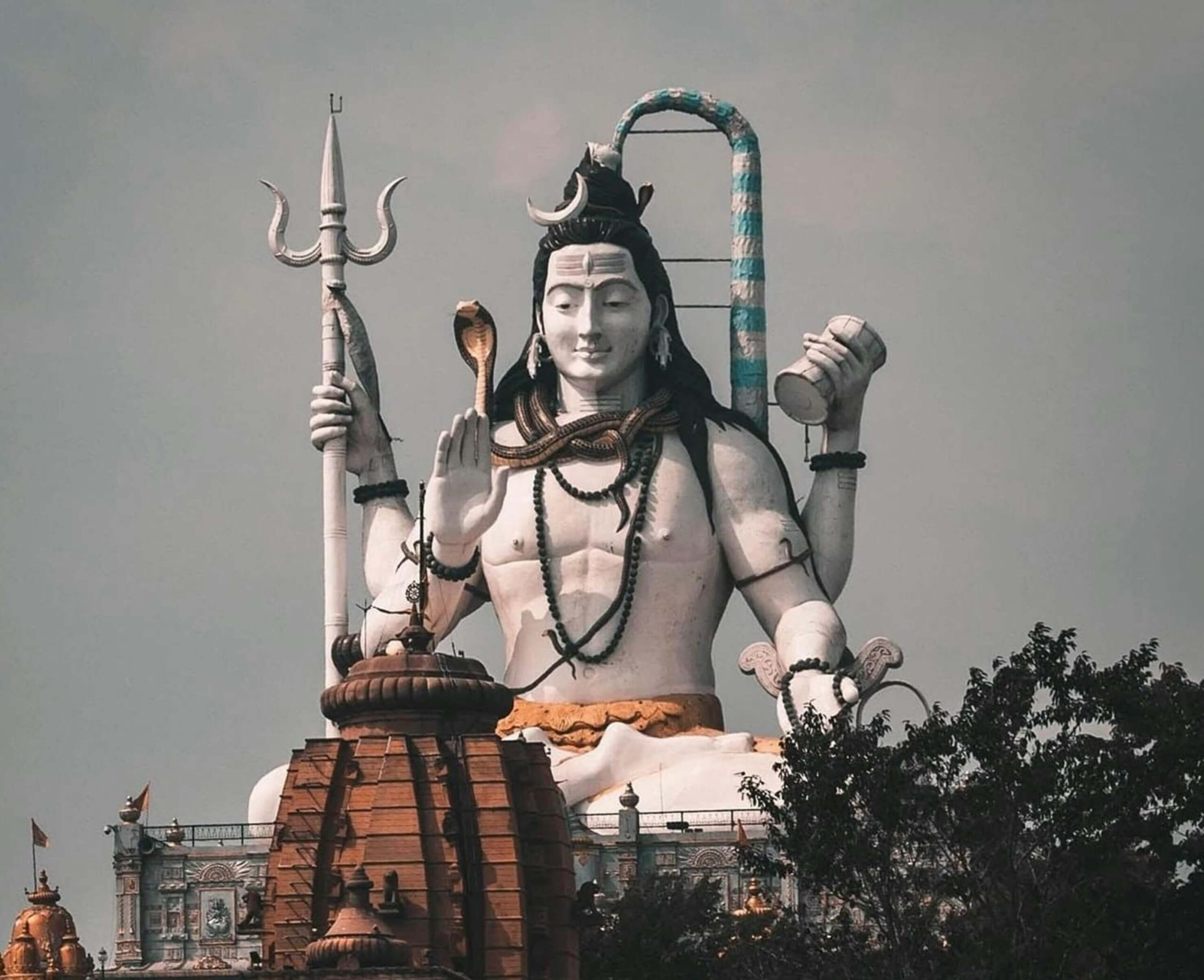 శ్రీ రుద్రం లఘున్యాసం